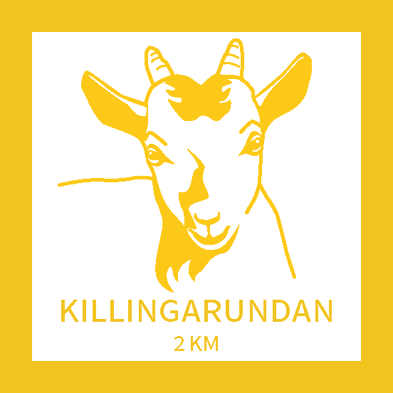 Killingarundan gul.png